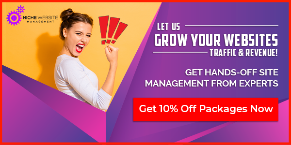 Niche Website Management