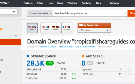 Domain Overview in SEMRush