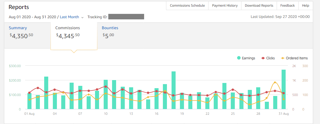 Amazon Niche Site Earnings