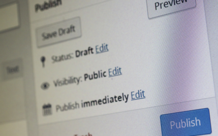 WordPress Management Services.
